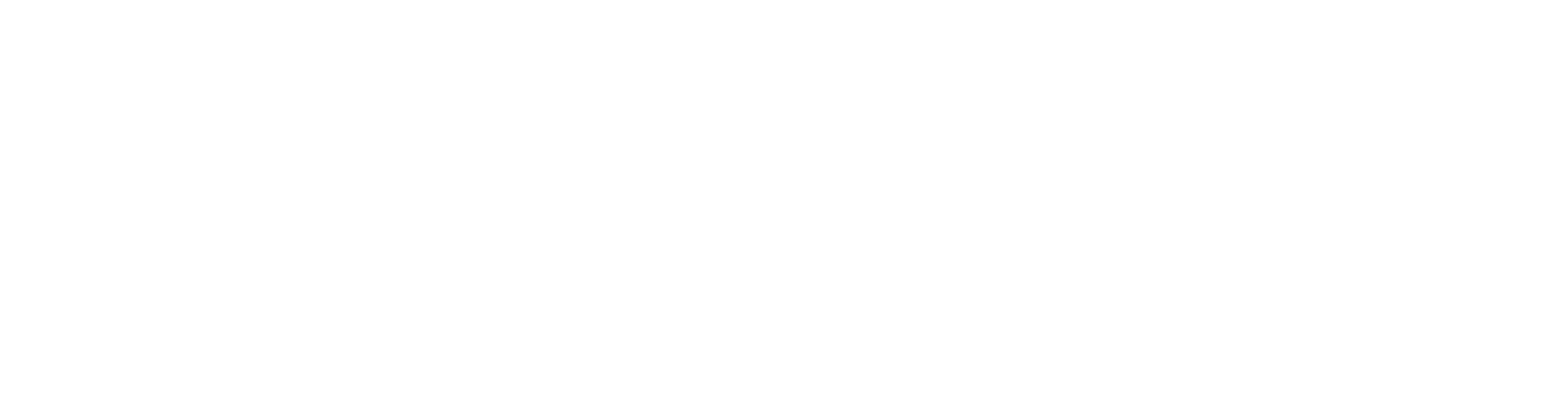 CNIN - Centre National d'Investigations Numériques